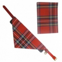 Tartan Cat Bandana and Mobile Phone Sock